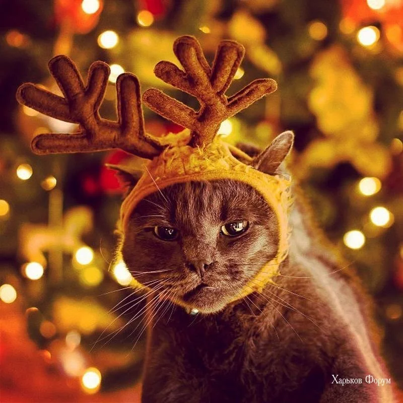 b64f758b7b47e16078fd.webp