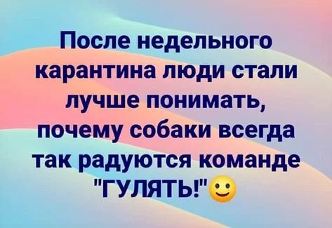 b66efa1dc896560c307371af2ab64a2e.webp