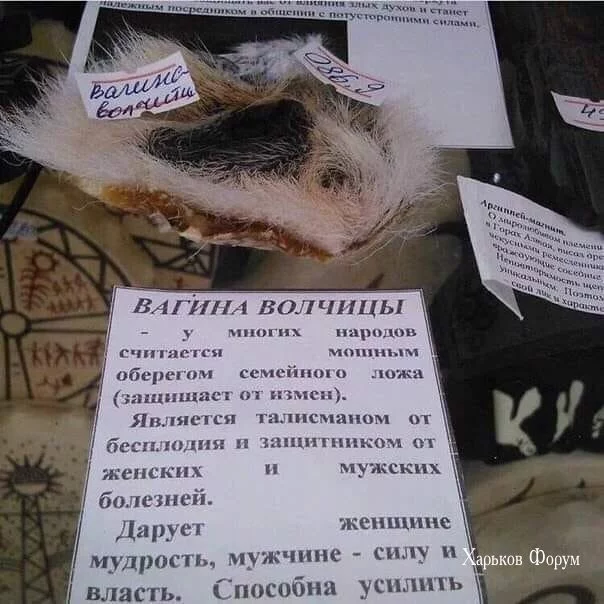 b675bbfa0f2e749de1ef397.webp