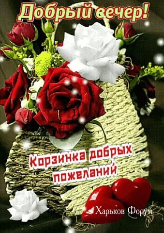 b685610c91ed566edf36.jpg
