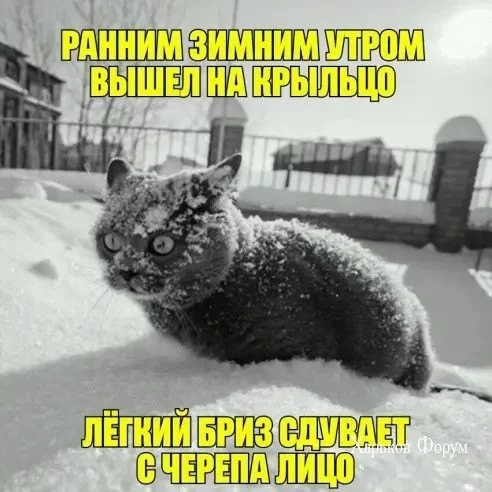 b69c1a6eaa469215be732828.webp