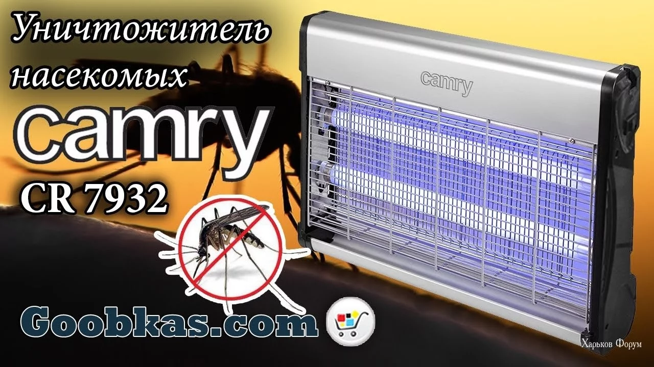 b6b0abb740c13dd18.webp