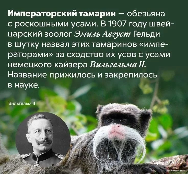 b6b79323d913a696b7c2d3.webp