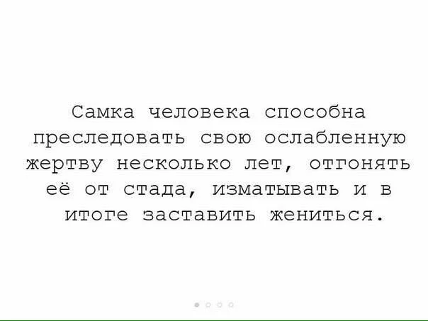 b6bgae.webp