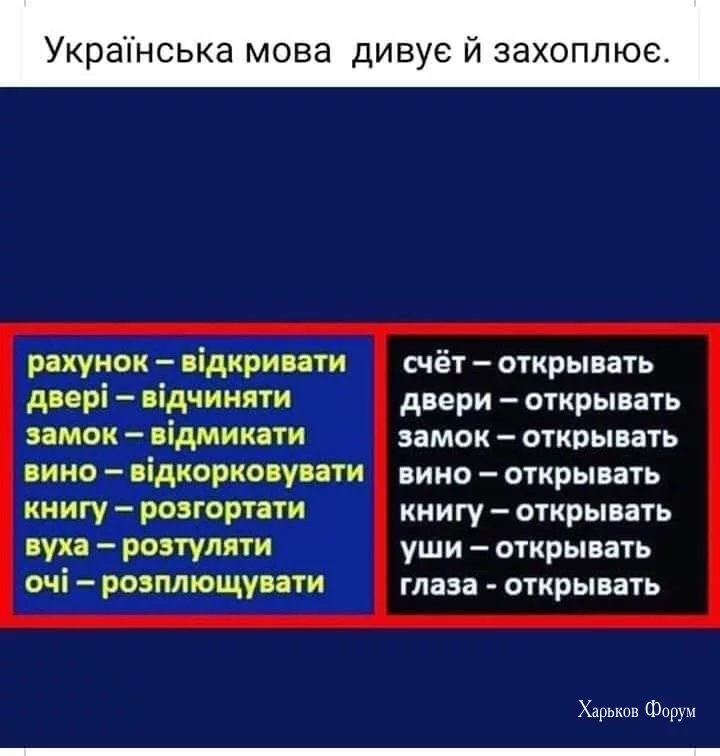 b6c67bddbd04d822.webp