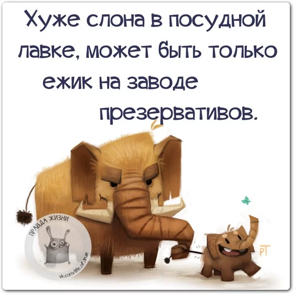 b6cggb.webp