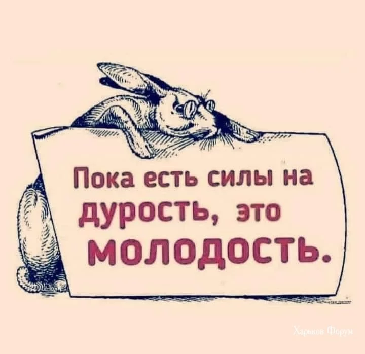 b6dae60aa0704a025efad.webp