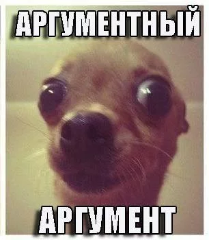 b6dgdj.webp
