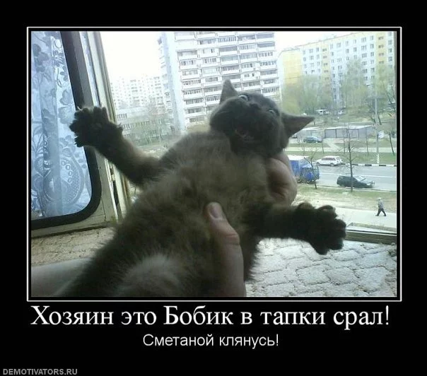 b6e719c6058ba42a2a3cb394e23910c7.webp