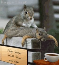 b6ea17130c53ab4c.gif