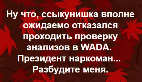 b6eced.webp