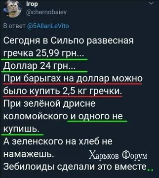 b6ed772f0b62feb273.webp