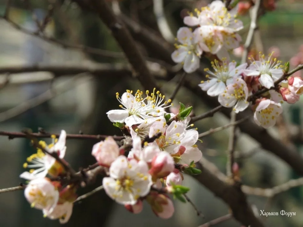 b6ef680320809d6f81d.webp