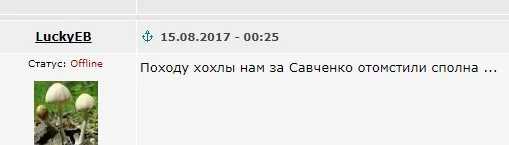 b6gcfb.webp