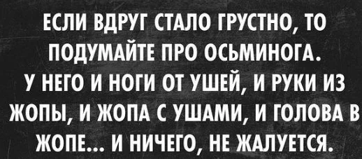 B6sPbjLIUAI4QKy.webp