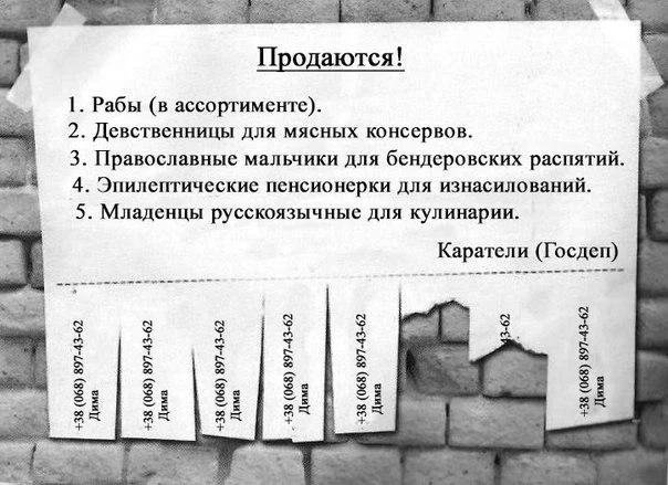 B6XZLiKCIAEpz9k.webp