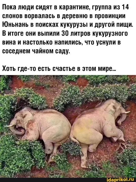 b706982c391569590dac656fd2e4fe93.webp