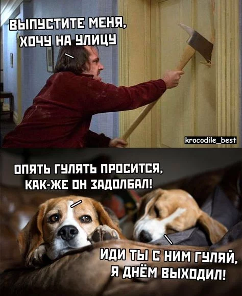b72064cc6a9315928dc99e86e33e2f03.webp