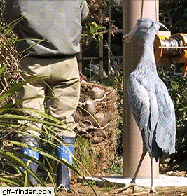 b725c06fd98cda3b7b83c.gif
