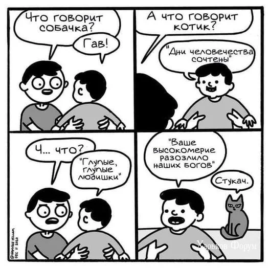 b73b7f9fb80fe1783ee.webp