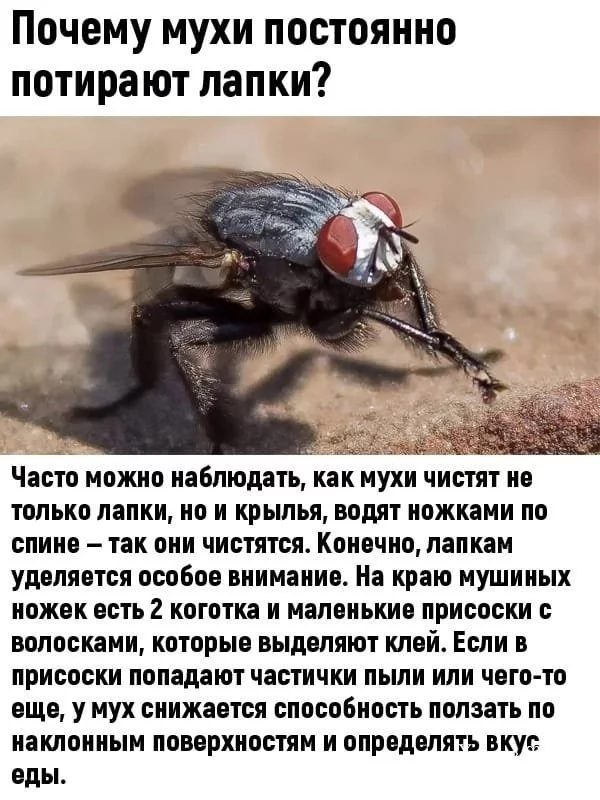 b73d5f38bf2aca89fb7.webp