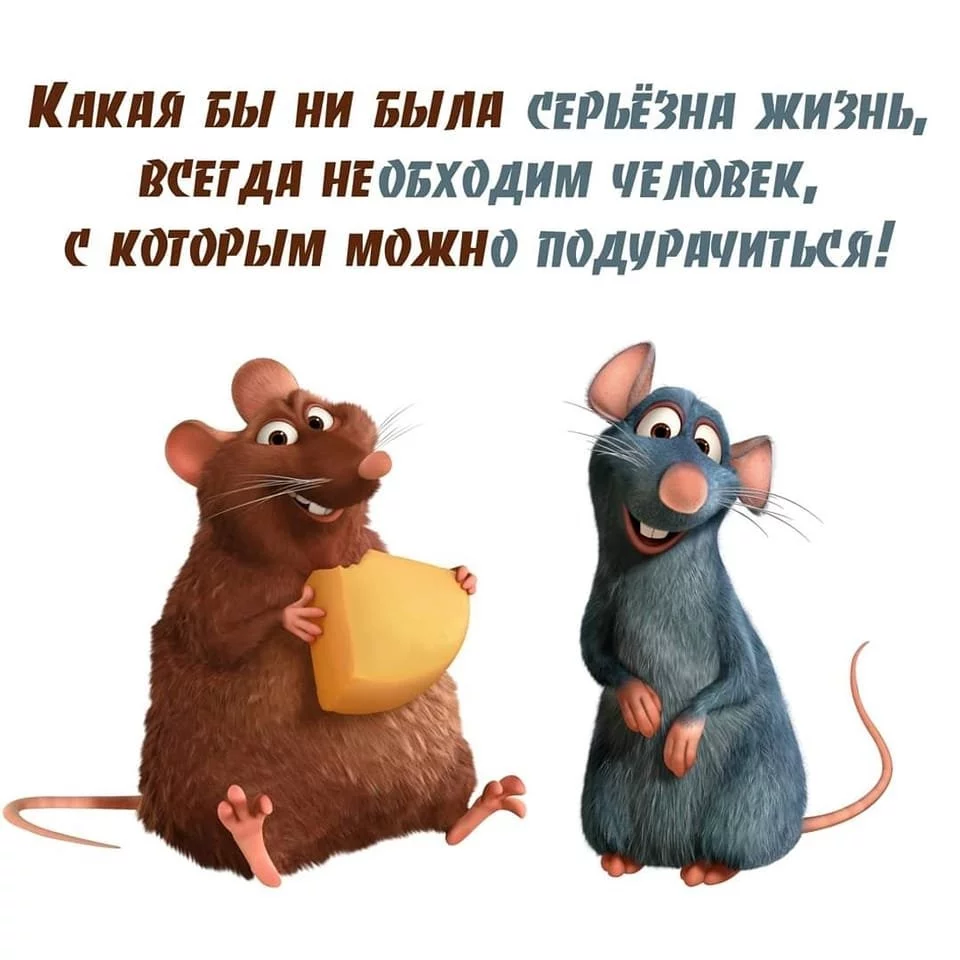 b7413062f3e2f5d2324f.webp