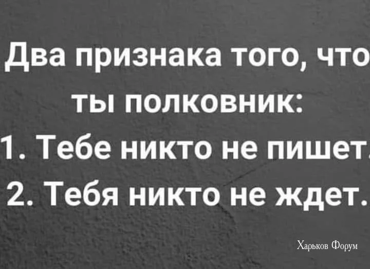 b74c2787a327a0785.webp