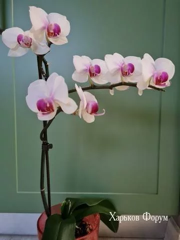 b74dbea9d34266a8fab.webp