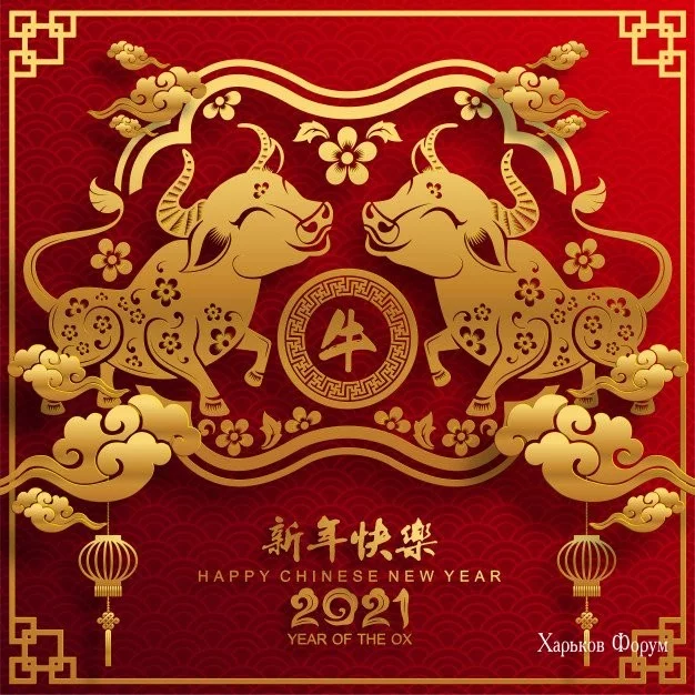 b74f90e83eb591a33f.webp