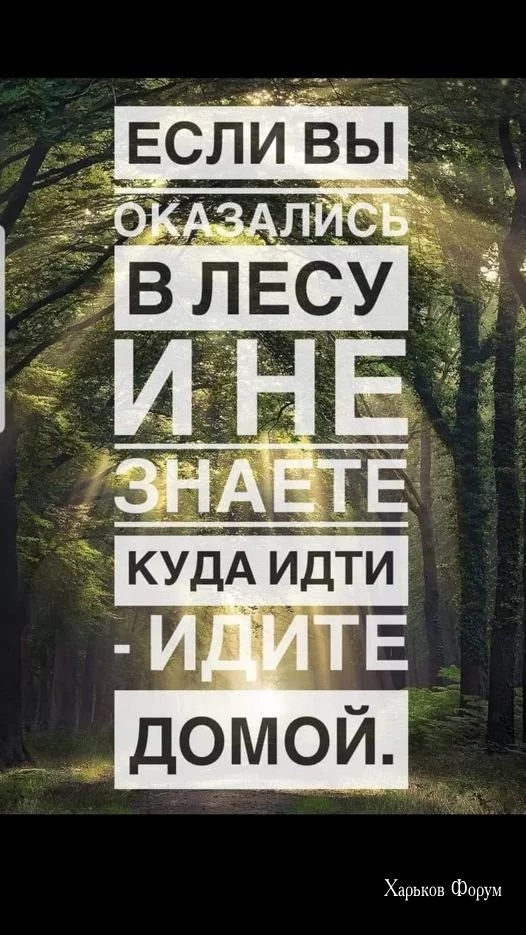 b75f20545bf8fb7704.webp