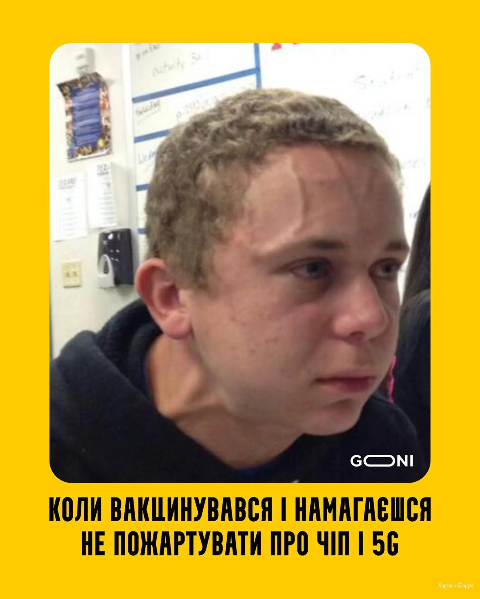 b75f4b64cb684160cadf2edd.webp