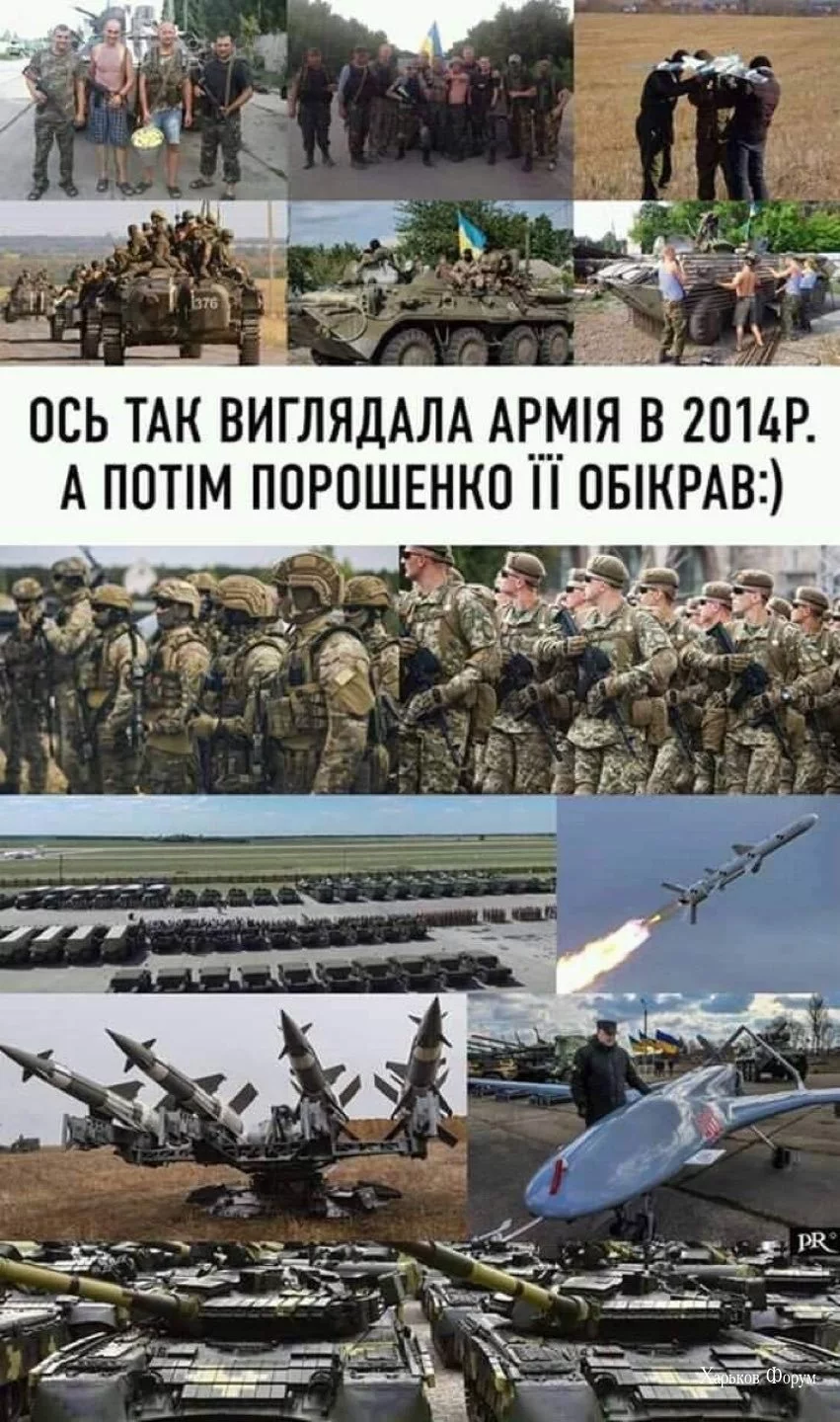 b777032341d87fc5709a.webp