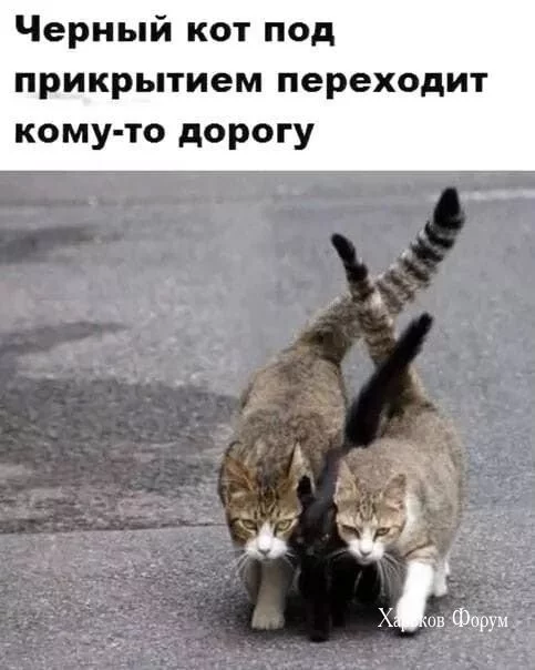 b78281d3e50a286d973d.webp