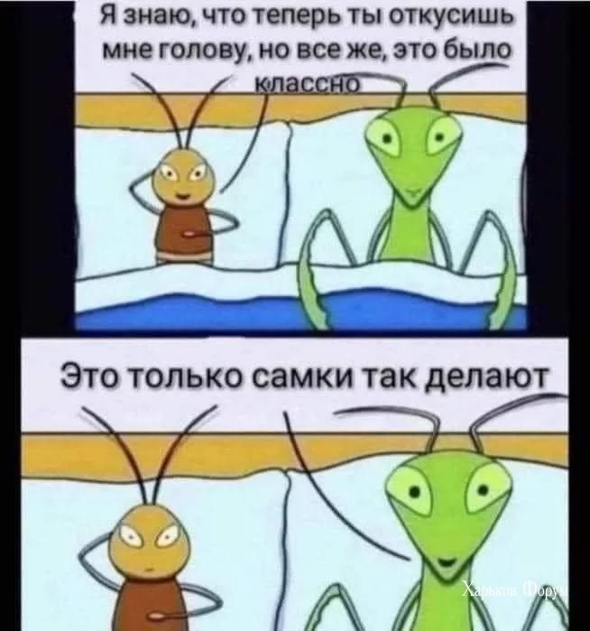 b787817bdeadf89b43967.webp