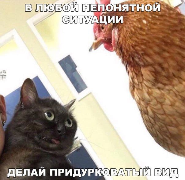 b7agfa.jpg