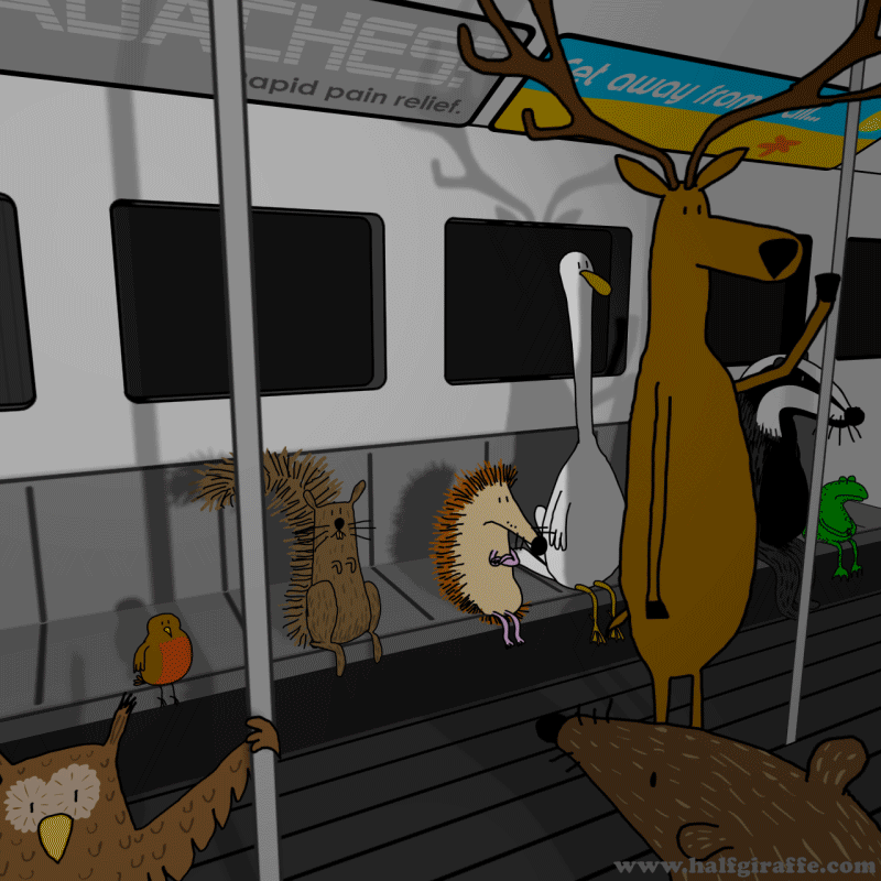 b7b104eb77afe7d87340.gif