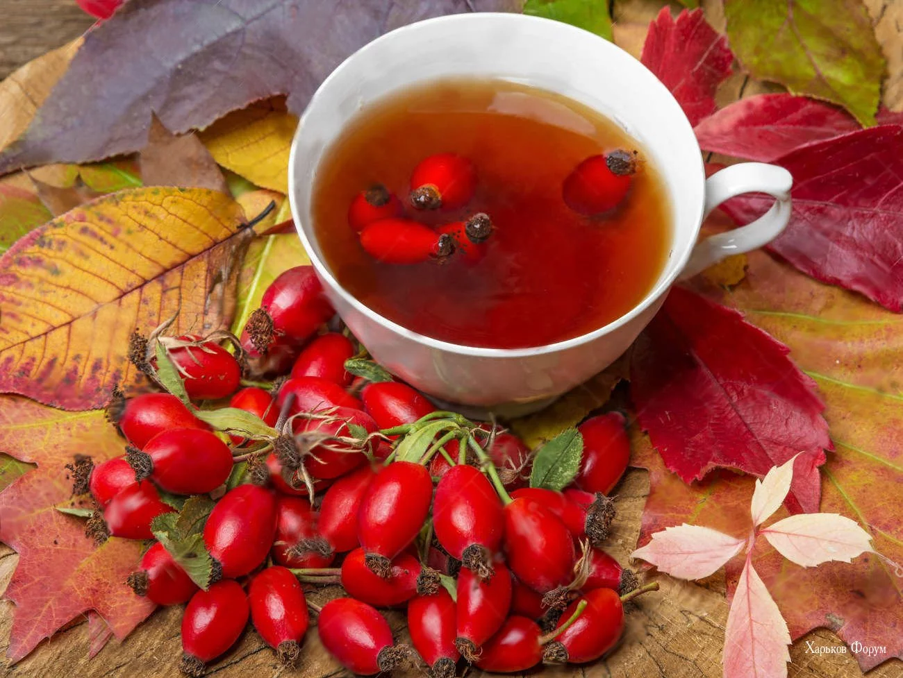 b7c808b4229c1a9db897397.webp