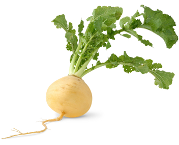 b7cdc5a33fc7ae7891f404bb878fd9b6.png