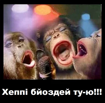 b7cfbc.webp