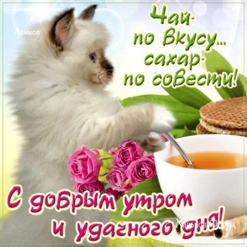 b7dedfd59ed1730c9b0c23.webp