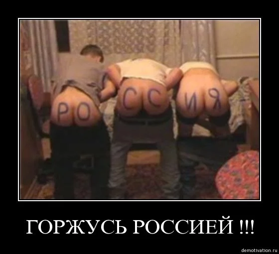 b7djhf.webp