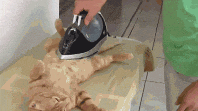 b7f4376df11e83811dc9.gif
