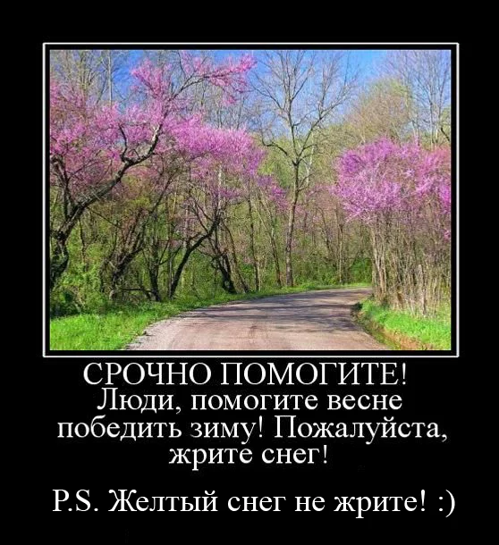 b7hcgf.webp
