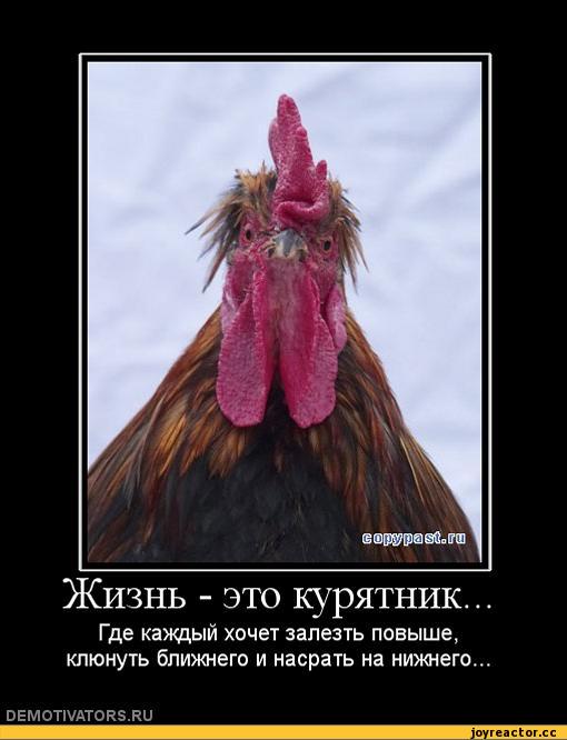 %B8%D0%B2%D0%B0%D1%82%D0%BE%D1%80%D1%8B-auto-26014.jpg