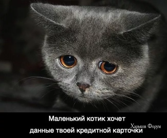 b80bdb5b49f71a718b9a7e.webp