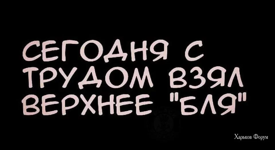 b842c8d9ce305fdf3.webp
