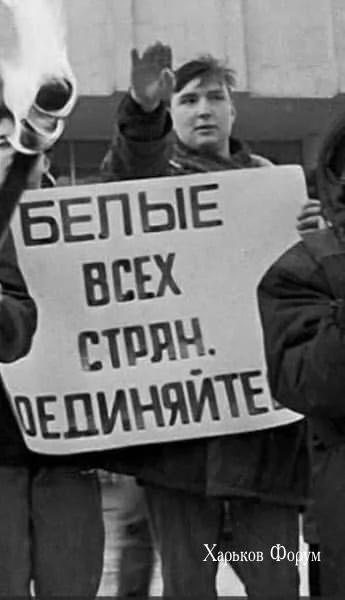 b8740203b1427605c0.webp