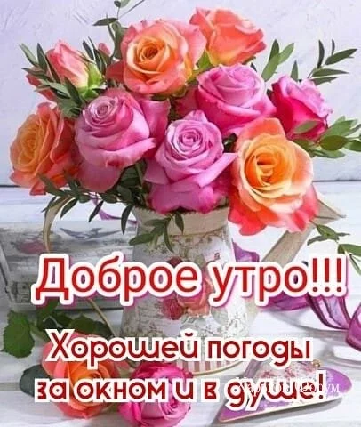 b87603aed54ff885a0bc31.webp