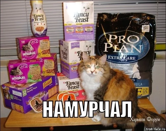 b88d7e339bacc39748c309d.webp