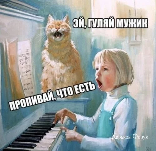 b8aacdeebe25a97c642.webp
